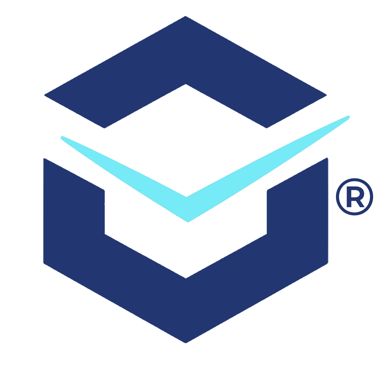 DPS logo for light background